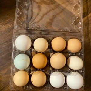Pasture Raised Eggs (1 dozen Subscription/Weekly)